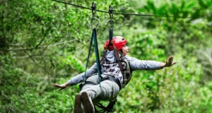 Read more about the article What Awaits You on a Flying Fox Adventure